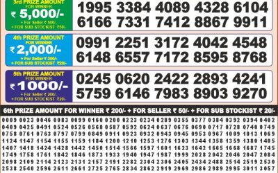 Punjab state dear 100 Monthly Lottery Result 09.09.25