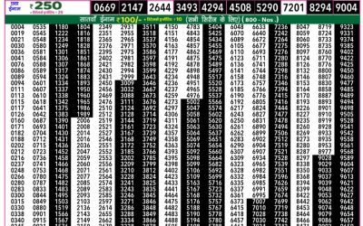 Rajshree 50 Daily Lottery 7.30pm Result 10.09.25
