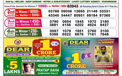 Dear Lottery 8pm Result 17.9.25