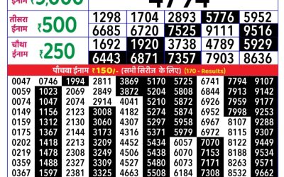 Rajshree Daily Lottery 8pm Result 17.09.25