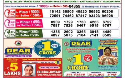 Dear Lottery 8pm Result 24.09.25