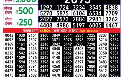 Rajshree Daily Lottery 8pm Result 24.09.25