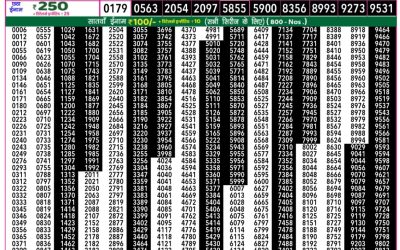 Everest Result Today Dear Lottery Result 2024 Rajshree 50 Daily Lottery 7.30pm Result 24.09.25