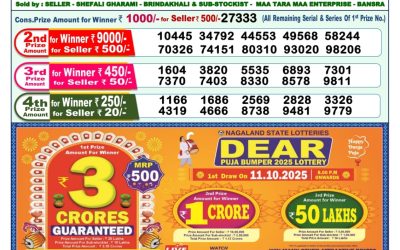 Dear Lottery 1pm Result 26.09.25