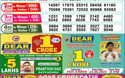 Dear Lottery 1pm Result 28.09.25