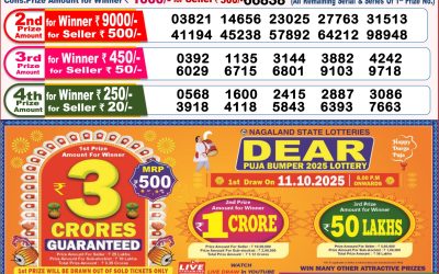 Dear Lottery 8pm Result 28.09.25
