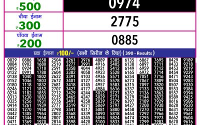 Everest Result Today Dear Lottery Result 2024 Rajshree 10 Evening Weekly Lottery 5.40pm Result 25.09.25