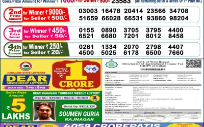 Dear Lottery 6pm Result 29.09.25