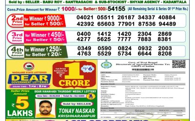 Dear Lottery 1pm Result 08.09.25