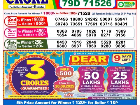 Everest Result Today Dear Lottery Chart