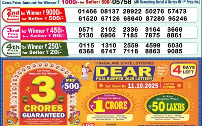 Everest Result Today Dear Lottery Result 2024 Dear Lottery 1pm Result 07.10.25