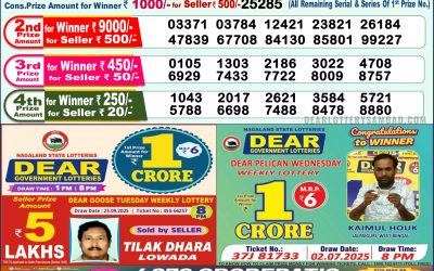 Dear Lottery 1pm Result 08.10.25