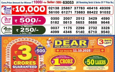 Dear Lottery 6pm Result 08.10.25