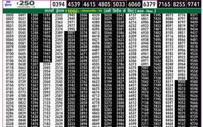 Rajshree 50 Daily Lottery 7.30pm Result 08.10.25