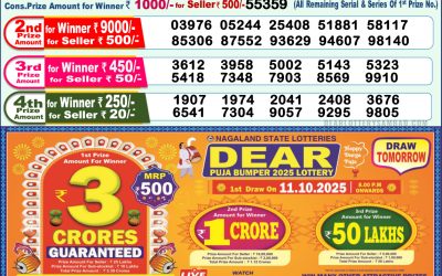 Everest Result Today Dear Lottery Result 2024 Dear Lottery 1pm Result 10.10.25