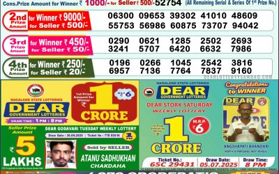 Dear Lottery 1pm Result 11.10.25