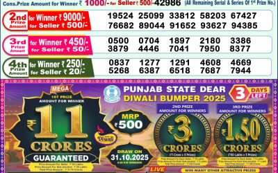 Dear Lottery 1pm Result 28.10.25