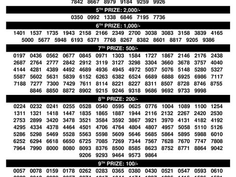 Dhanalekshmi DL24 Result 29.10.25 Kerala State Lottery Everest Result Today Dear Lottery Chart