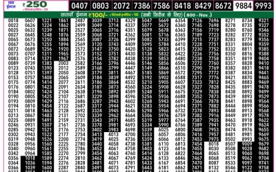 Everest Result Today Dear Lottery Result 2024 Rajshree 50 Daily Lottery 7.30pm Result 29.10.25