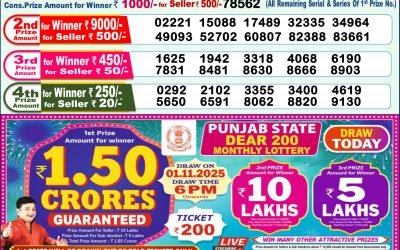 Everest Result Today Dear Lottery Result 2024 Dear Lottery 1pm Result 01.11.25