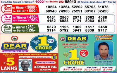 Dear Lottery 8pm Result 02.11.25