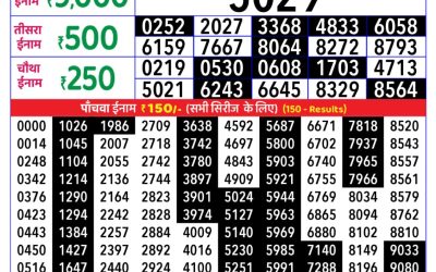 Rajshree Daily Lottery 1pm Result 03.11.25