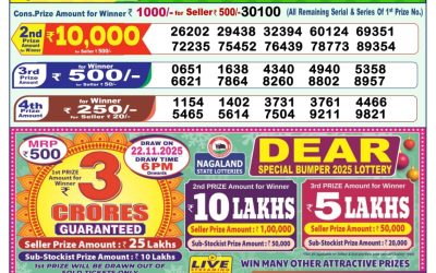 Dear Lottery 1pm Result 04.11.25