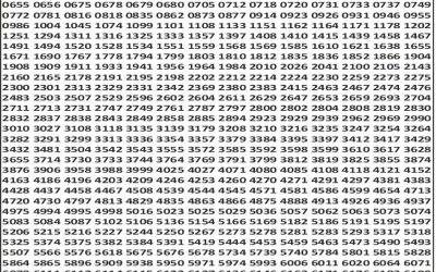 Everest Result Today Dear Lottery Result 2024 Punjab State Dear 50 Lottery 6pm Result 04.11.25