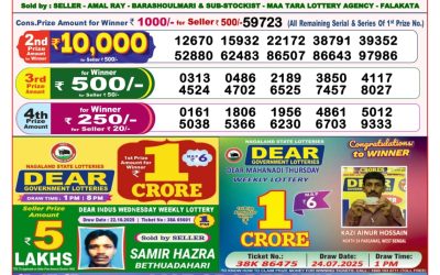Dear Lottery 8pm Result 04.11.25