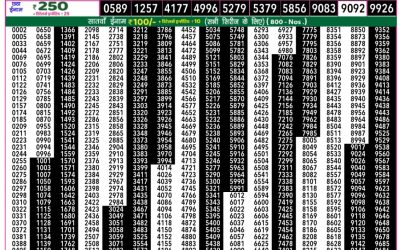 Rajshree 50 Daily Lottery 7.30pm Result 05.11.25