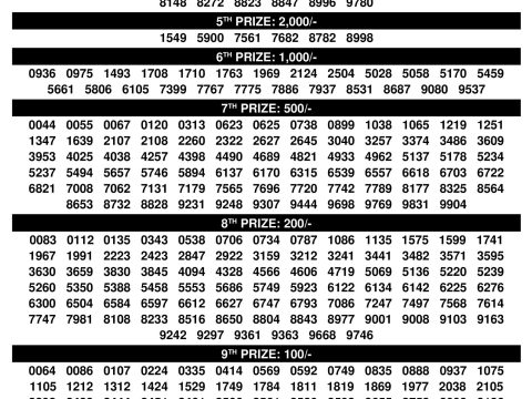 Karunya Plus KN596 Result 06.11.25 Kerala State Lottery Everest Result Today Dear Lottery Chart