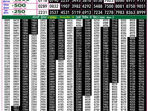 Everest Result Today Dear Lottery Chart