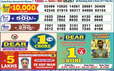 Everest Result Today Dear Lottery Result 2024 Dear Lottery 1pm Result 07.11.25