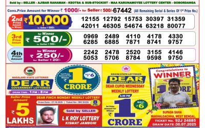 Dear Lottery 8pm Result 07.11.25