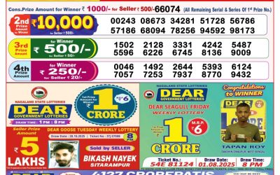 Dear Lottery 8pm Result 08.11.25