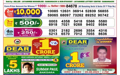 Dear Lottery 8pm Result 10.11.25