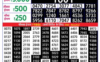 Rajshree Daily Lottery 8pm Result 10.11.25