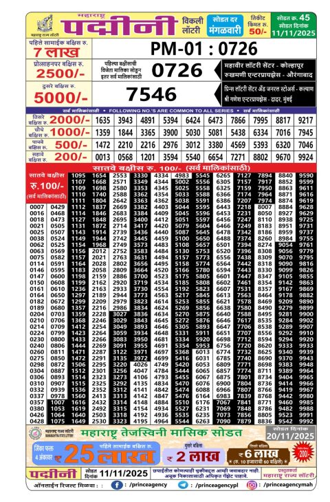 Maharashtra Padmini Weekly Lottery Result 11.11.25 Everest Result Today Dear Lottery Chart