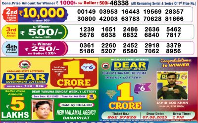Dear Lottery 8pm Result 11.11.25