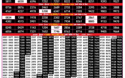 Rajshree 500 Monthly Result 6:30pm 11.11.25