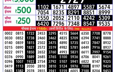 Rajshree Daily Lottery 8pm Result 11.11.25