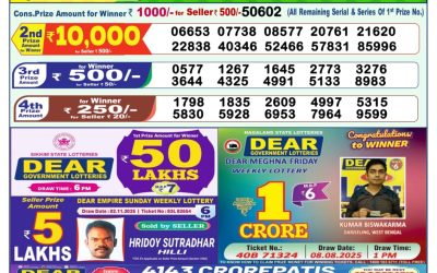 Dear Lottery 1pm Result 12.11.25