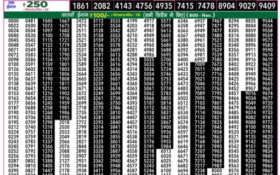 Everest Result Today Dear Lottery Result 2024 Rajshree 50 Daily Lottery 7.30pm Result 12.11.25