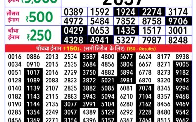 Rajshree Daily Lottery 8pm Result 13.11.25