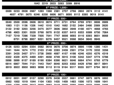 Kerala Lottery Result SK 27 Suvarna Keralam 14.11.25 Everest Result Today Dear Lottery Chart