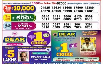 Dear Lottery 8pm Result 14.11.25
