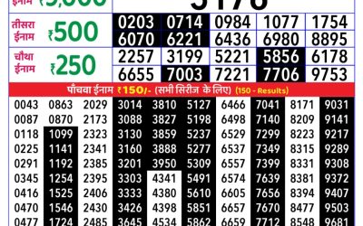 Rajshree Daily Lottery 1pm Result 16.11.25