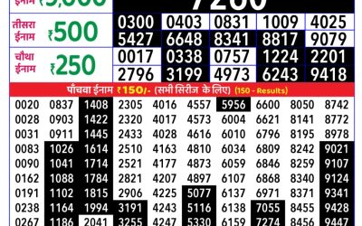 Rajshree Daily Lottery 8pm Result 17.11.25