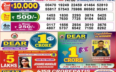 Dear Lottery 8pm Result 18.11.25