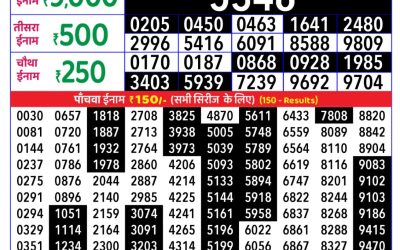Rajshree Daily Lottery 8pm Result 18.11.25